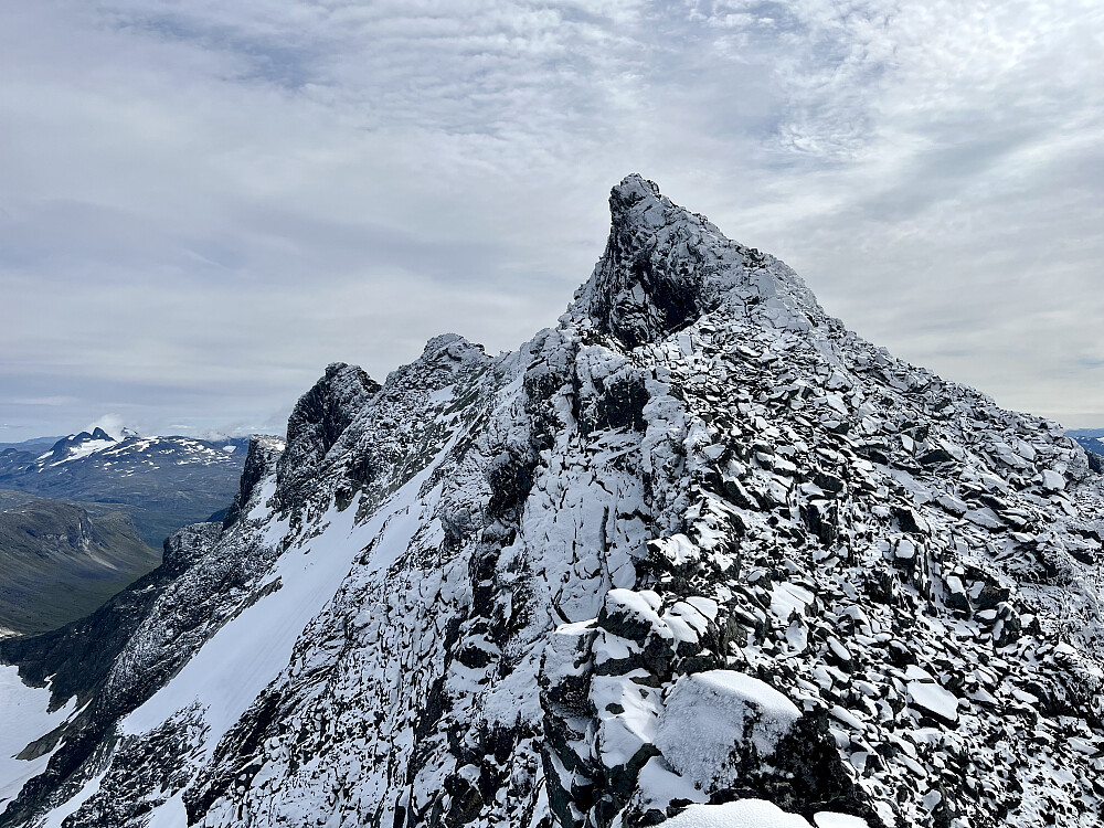 Dyrhaug - skitoppen?