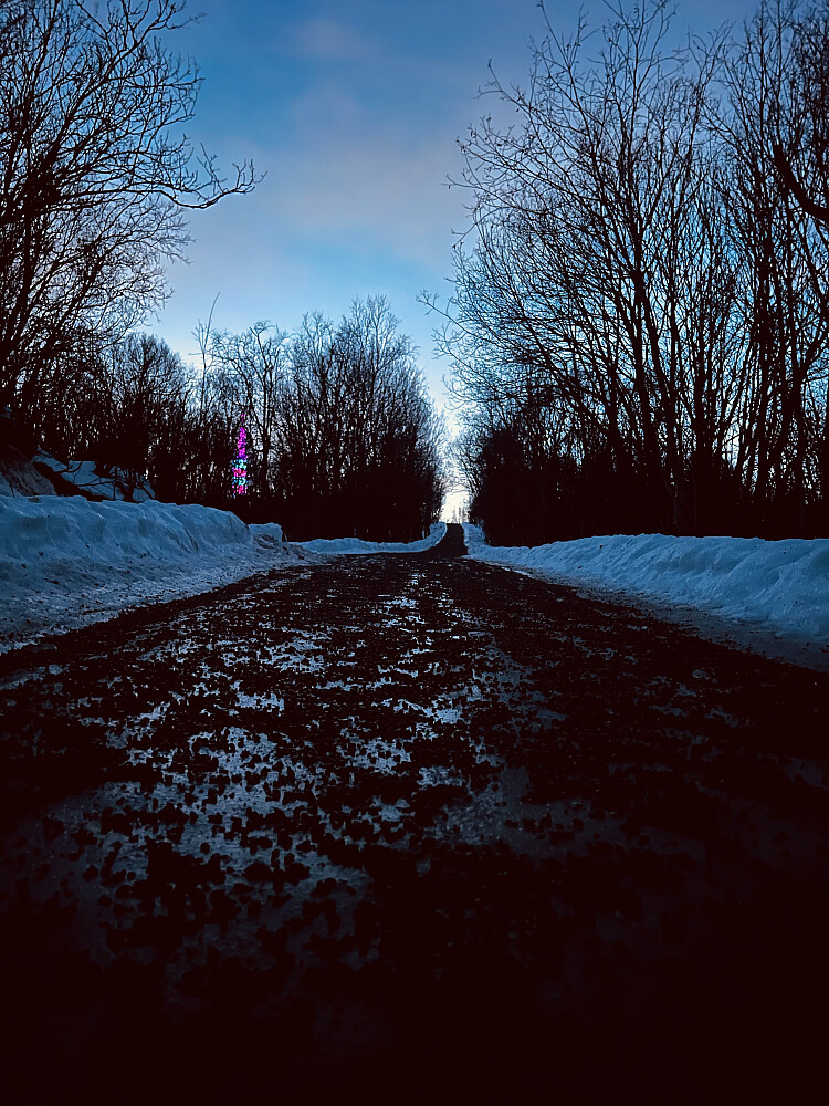 Tårnveien til TV-tårnet