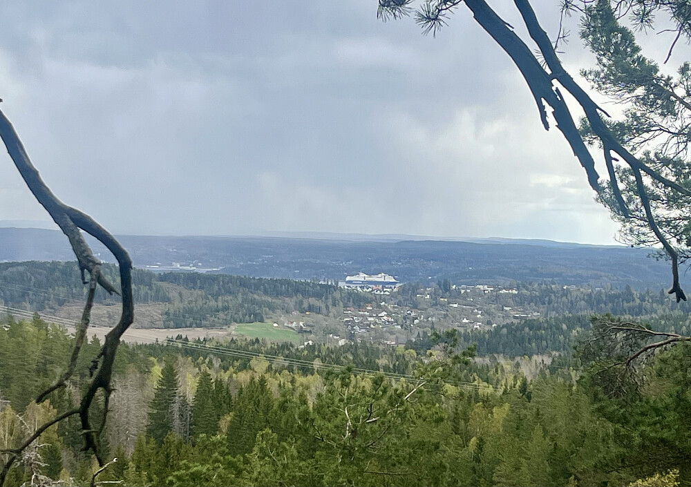 Colorline på vei inn Drøbaksundet