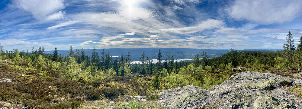 Panorama