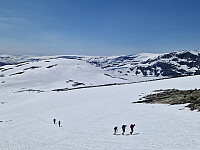 Soli_20250921_68cfcbc852ec5.jpg
