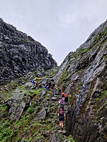 Soli_20250921_68cfcf4bd0f63.jpg