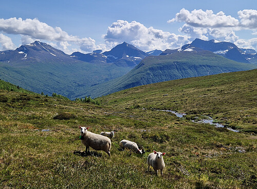På veg ned mot Høgsetra