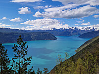 Soli_20260516_6a08ae4bb4138.jpg