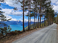 Soli_20260516_6a08ae4be576c.jpg