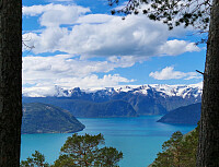 Soli_20260516_6a08ae4c0c908.jpg