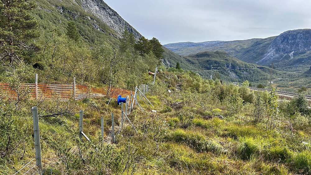 Nytt gjerde langs jernbanelinjen mellom Ljosanbotn og Solbakken, Mjølfjell. Foto mot Ørnaberget, Hervardseggi og Magnhildsnuten.