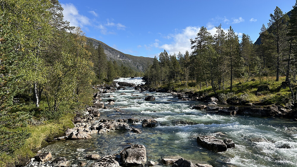 Kleivelvi sett fra broen sør for Kårdal Fjellstue