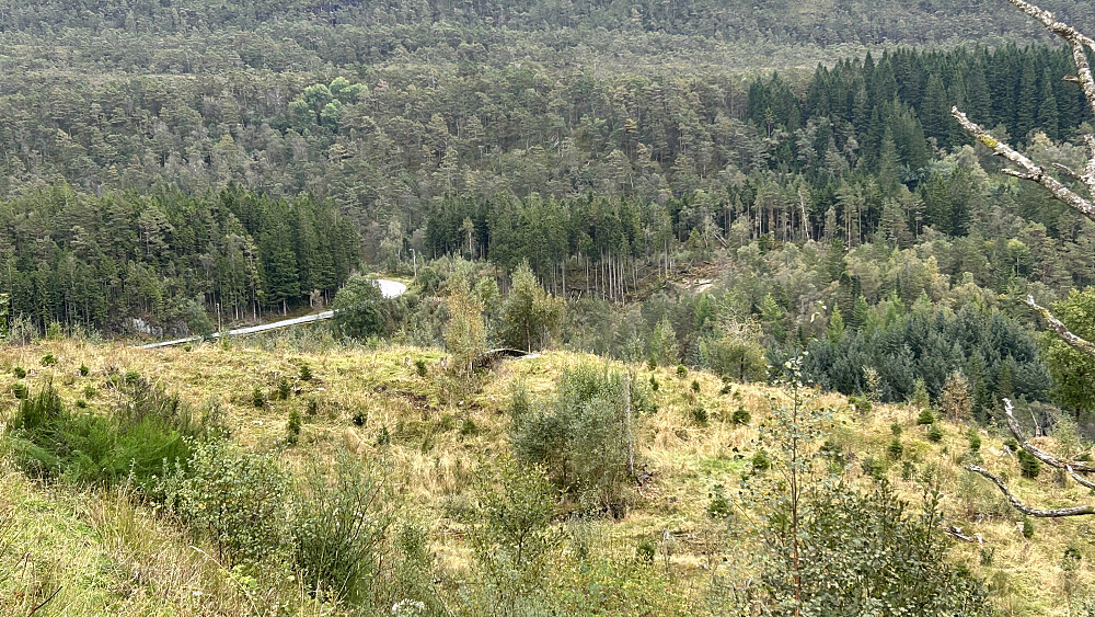 Grunnmur/sannsynlig krigsminne (9). Foto mot Hausdalsvegen
