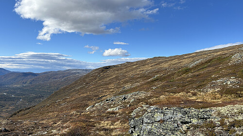 Lettgått terreng oppe i sørhellingen på Kleivafjellet