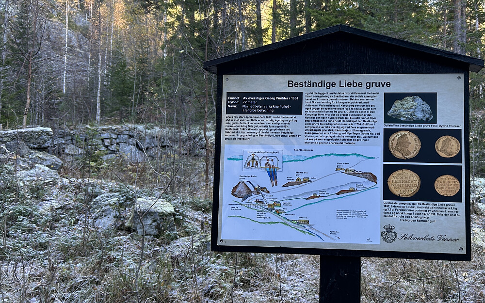 Ruiner etter Beständiger Liebe gruven fra 1661 der det i 1697 ble funnet elektrum - en blanding av sølv og gull