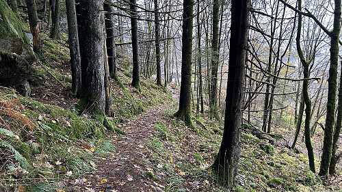 Sti fra Rød mor Brattestølen