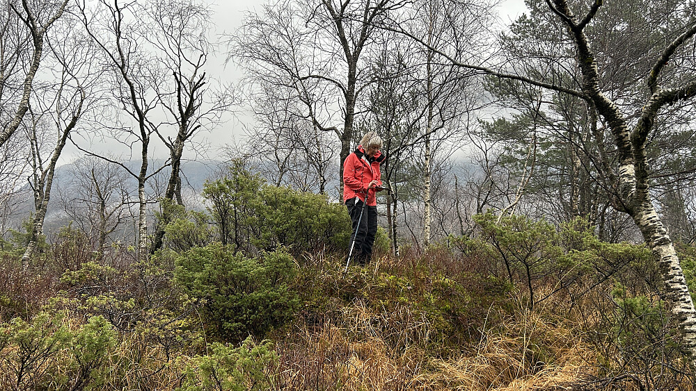 Astrid på bergnabben som er høyeste punkt på Storerinden 126 moh