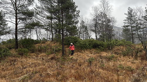 Fra veien fulgte vi hjortestier oppover mot toppen