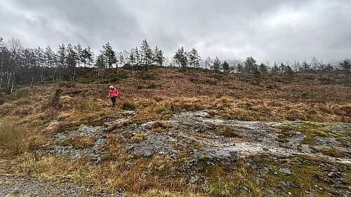 Fulgte god grusvei oppover til vi var nær Storerinden