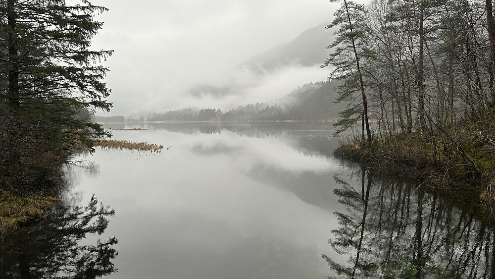 Gråvær og tåke over Samdalsvatnet denne søndagen!
