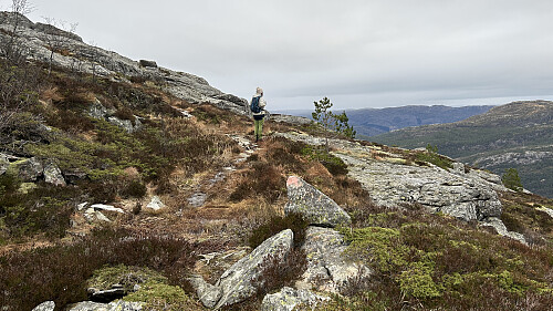 På vei oppover sørøstflanken av Sågneskollen