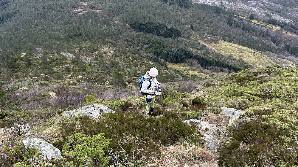 Meget bratt terreng nedover mot Gjerdet SØ for toppen