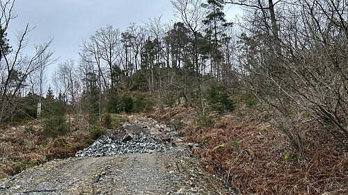 Overgang anleggsvei/skogsvei mot Hovåsen