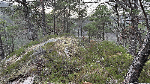 Toppen på Hovåsen Sør med metallbolt i fjell