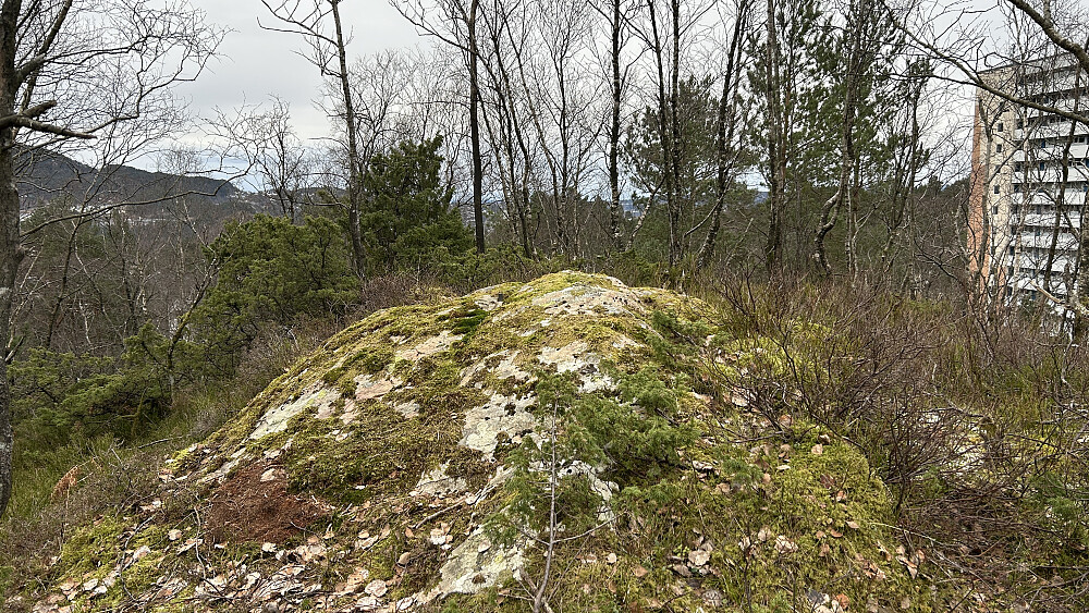St. Hanshaugen ved Vestlund 