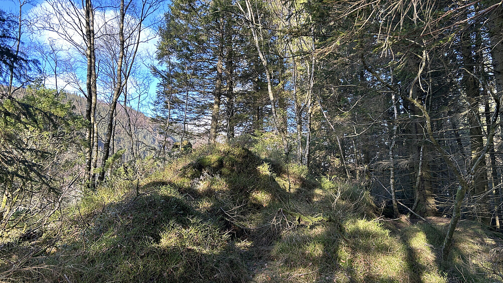 Ørnatua 157 eller 158 moh. Navnet kommer opp ved inzooming. Ingen markering av toppen og heller ingen utsikt.