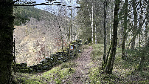 Fin sti videre mot Grytebakkbroen