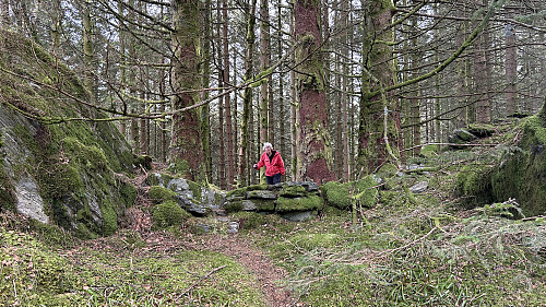 Åpning i steingarden på ryggen ved Erdal Bruk 2