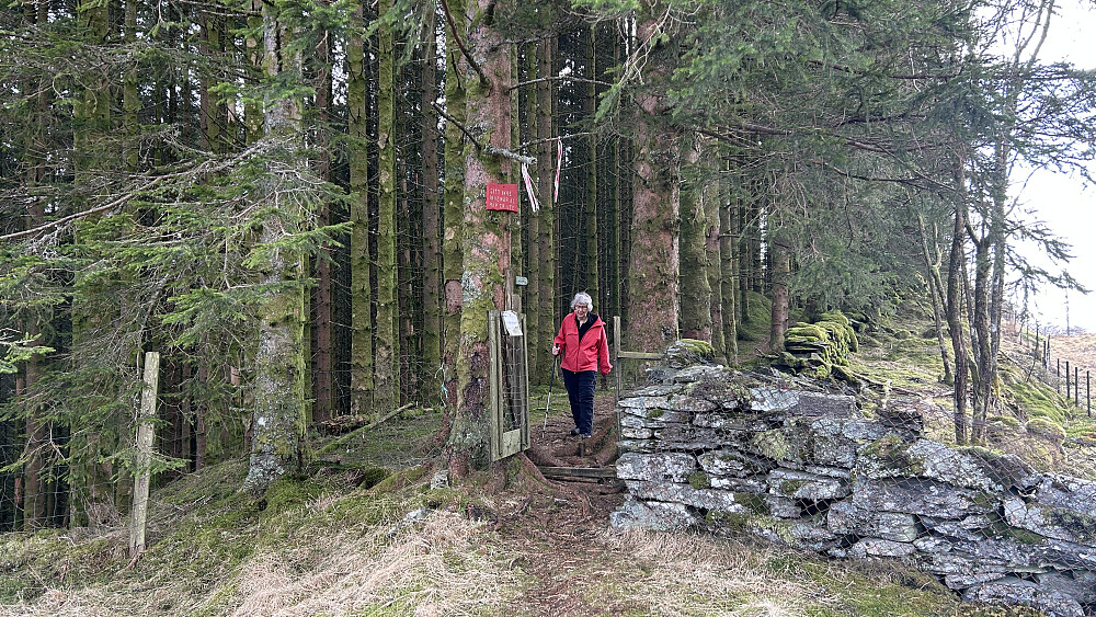 Ned fra ryggen litt sør for Grytebakkbroen