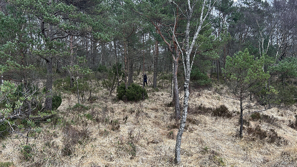 Gjeddevatn lokalitet 4, B 16366. Ikke noe å se der i dag.