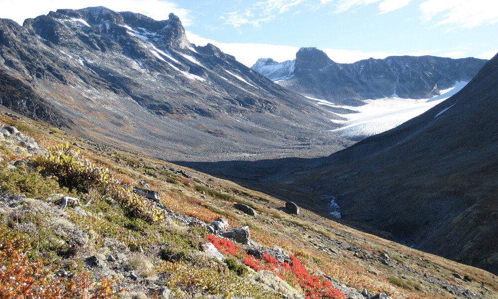 Nydelige høstfarger oppover mot Illåbandet! Skardstind mot venstre, Ymelstinden i midten.