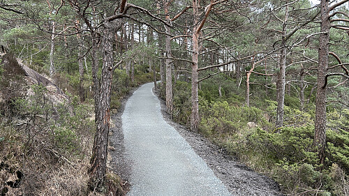Flott grusvei fører opp til bebyggelsen sør for Allestadhaugen