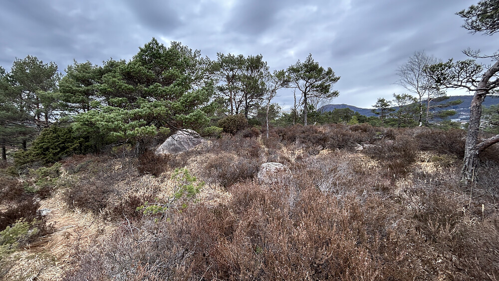 Høyeste punkt 60.4 moh nær ØF Elvareidet