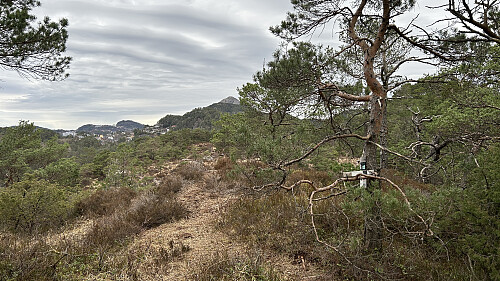 Turmålet Øst for Elvareidet