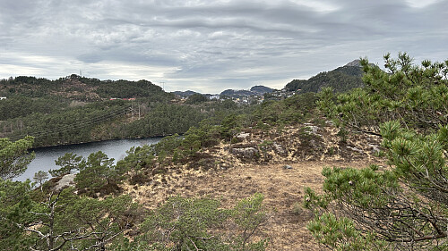Utsikt nordover mot Lyderhorn fra ØF Elvareidet