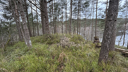 23.4 m toppen på Sæleidet