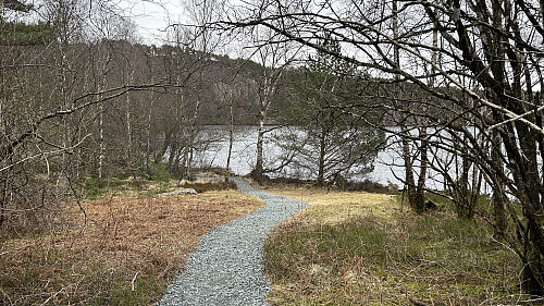 Grusvei på sørsiden av Sæleidet
