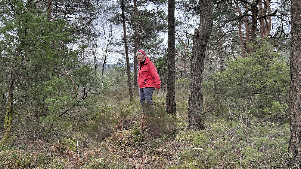 Astrid på høyeste punkt på Botnahaugen