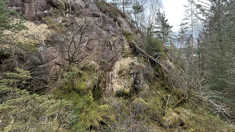 Adkomst til Ørnahaugen fra NV-siden. Anbefales ikke.