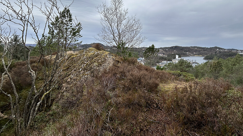 Fjellnabben mot venstre er høyeste punkt på Ørnahaugen mot nord. Utsikt nordover