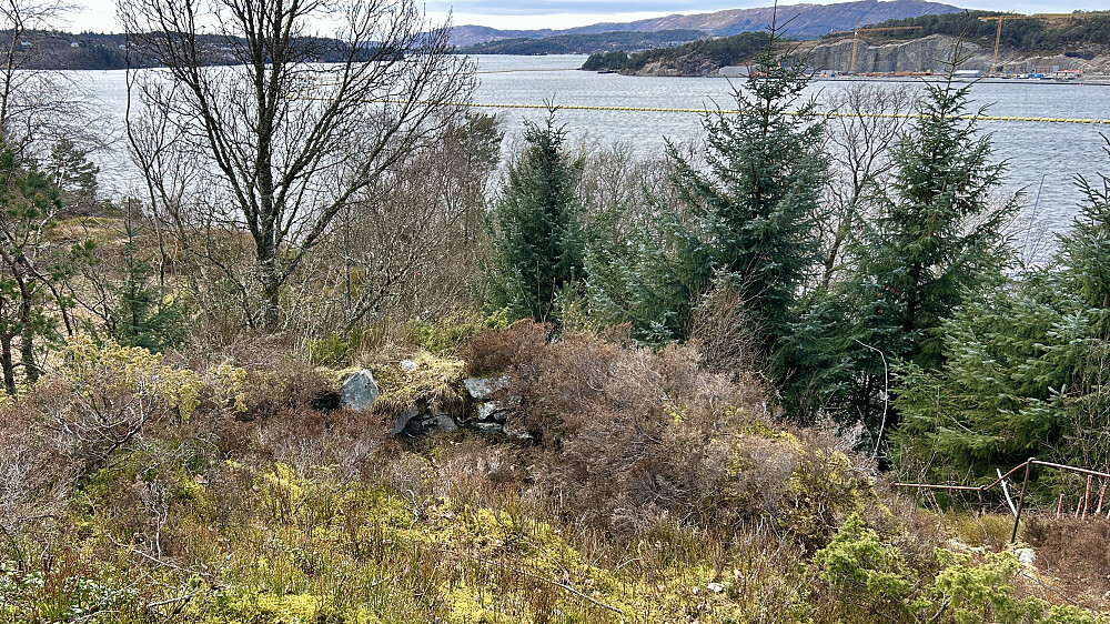 Sannsynlig utsiktspost/skytestilling fra 2VK i Bjørgelien- GPS posisjon ut fra kat 32V 293127 6694349, 59 moh.