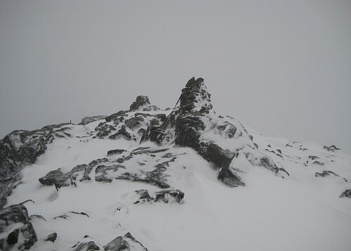 Toppområdet Ryggjehøe med begge vardene