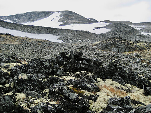 Samme. Foto mot Bukkehøe/Tunga