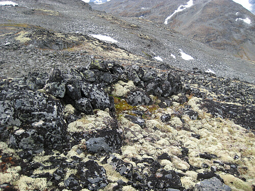 Bogestelle vest for Svarttinden