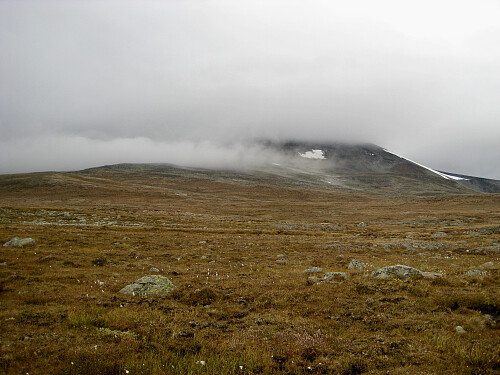 Tilbakeblikk mot toppen fra Bordranden