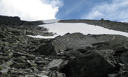 Kunne delvis gå og skli på snøfelter vest på nordryggen