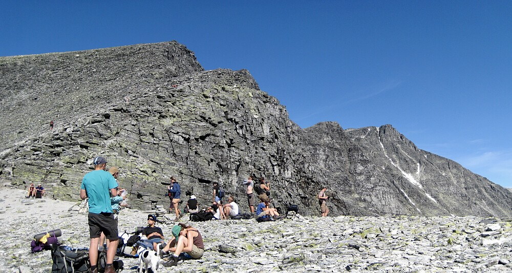 Rene, skjære folkevandringen av to og firbeinte mot Vinjeronden denne flotte julidagen!
