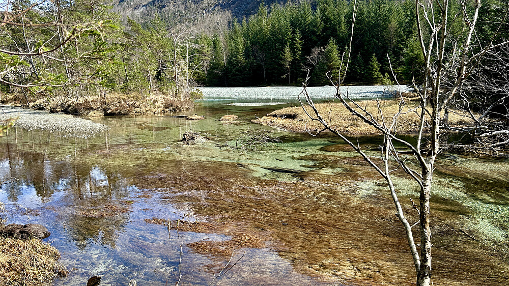 Flott parti langs elven i Hausdalen