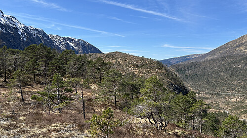 Trollhaugen i sikte fra østsiden