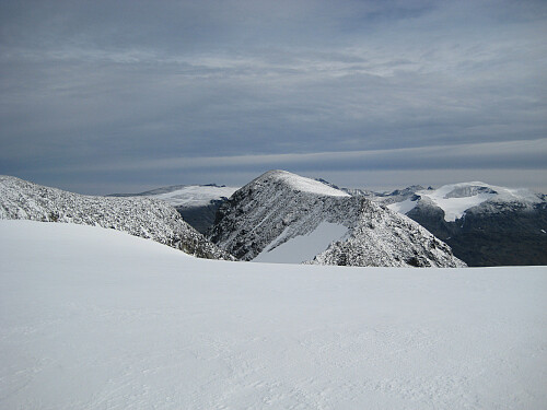 Skagsnebb kommer til syne. Foto fra området ved Hurrbreatinden